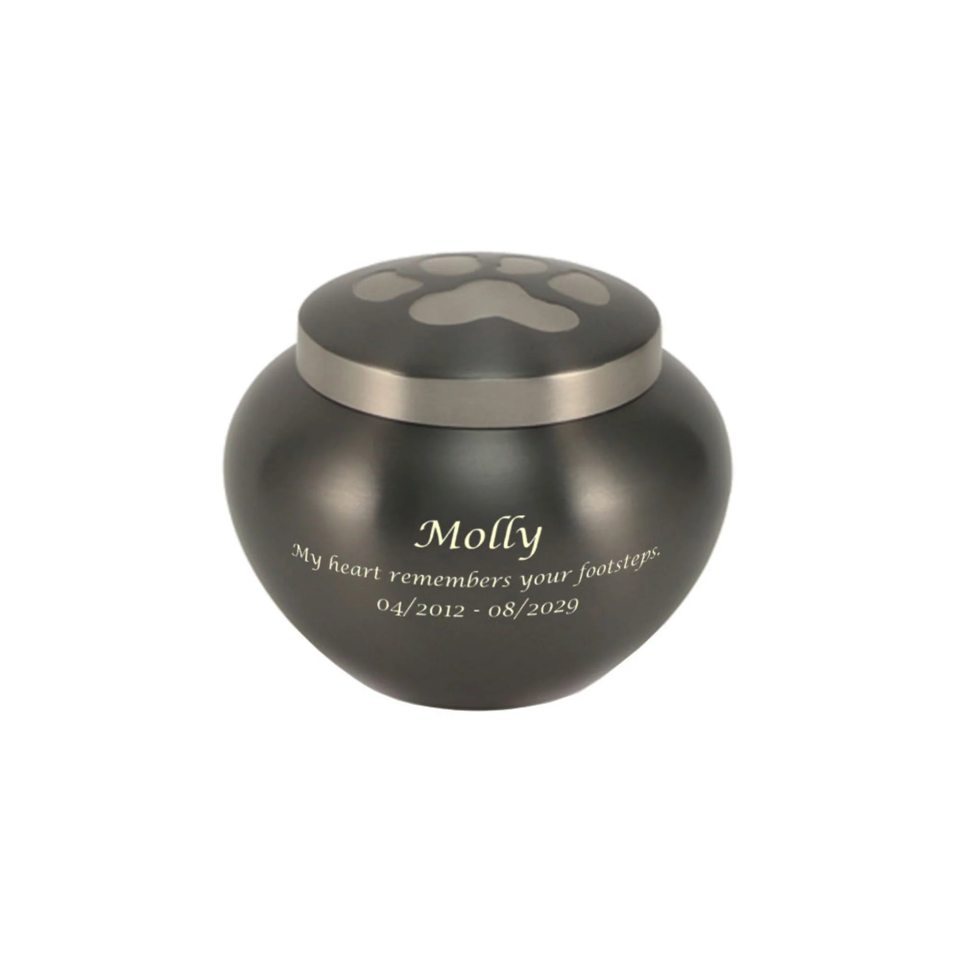 Odyssey Slate Petite