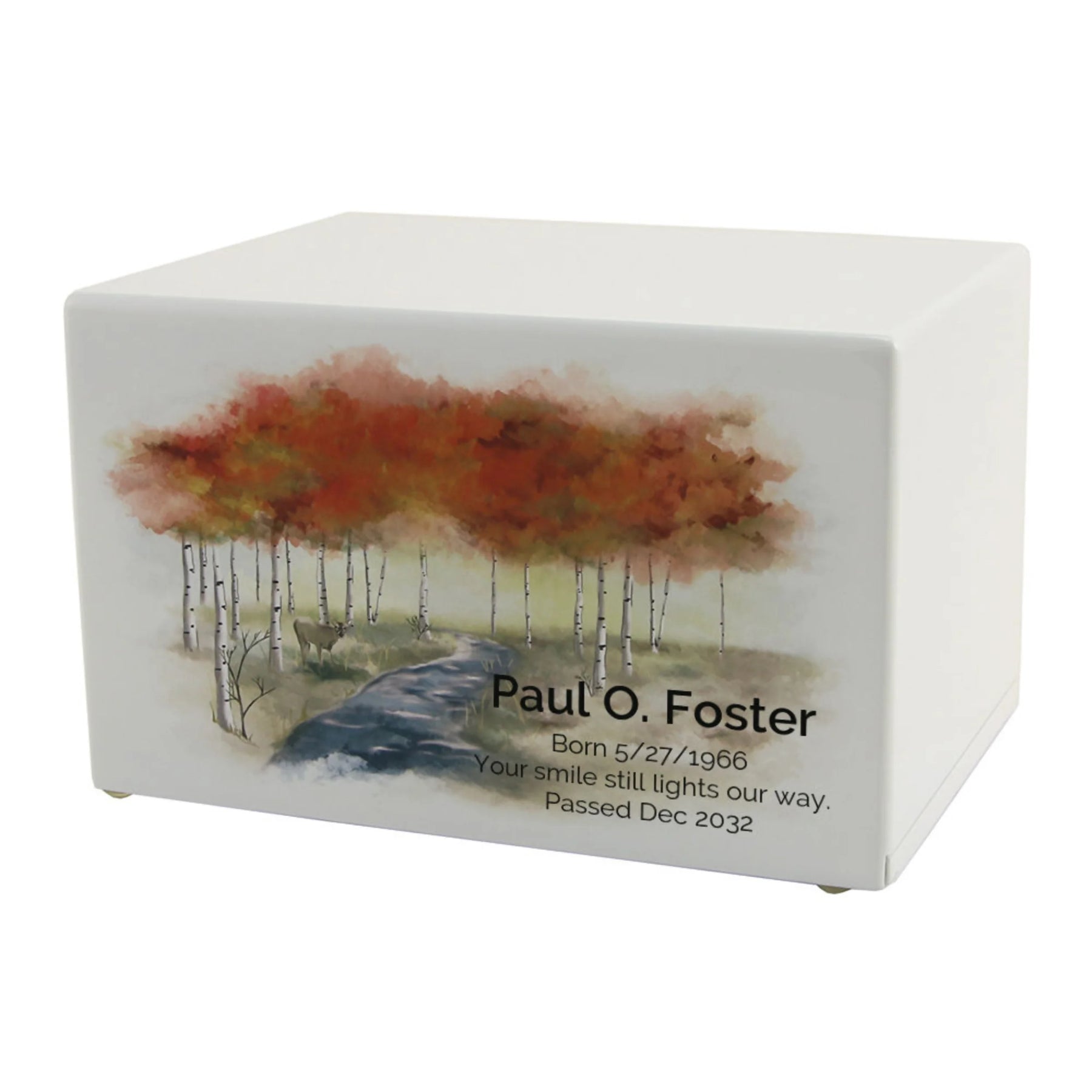Somerset Autumn Forest