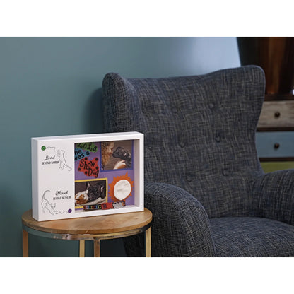 Shadowbox Remembrance Loved Beyond Cats