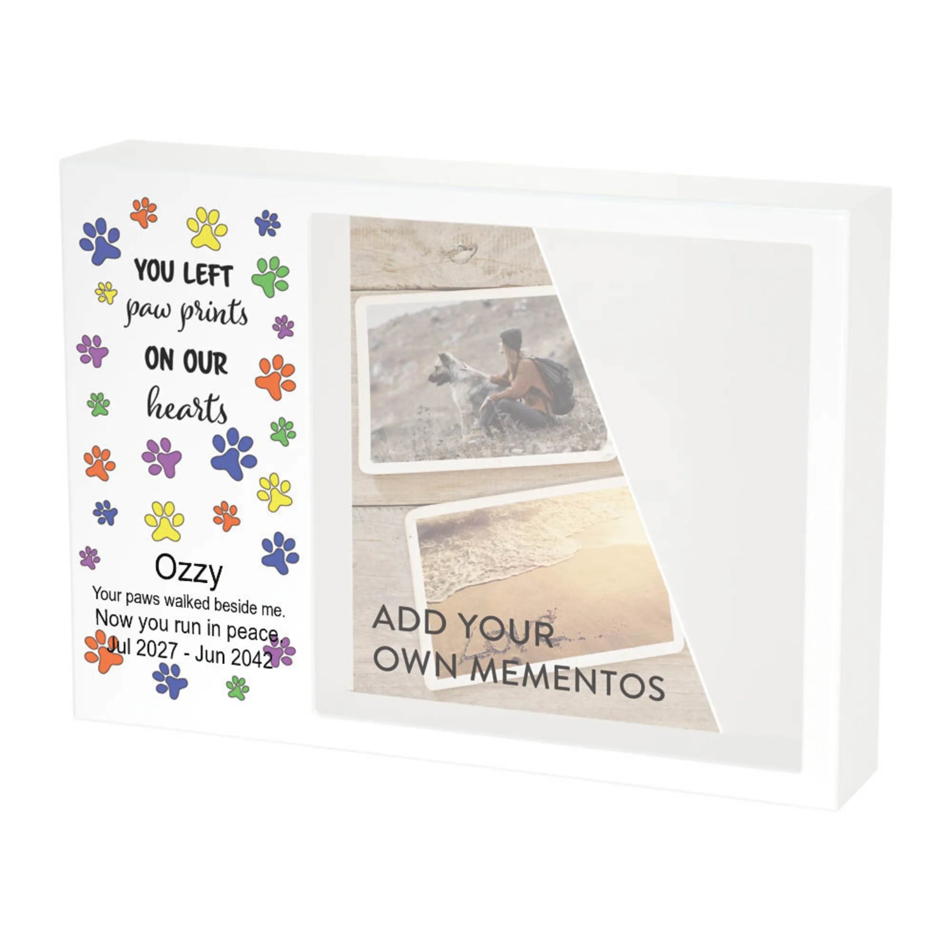 Shadowbox Remembrance Playful Paws