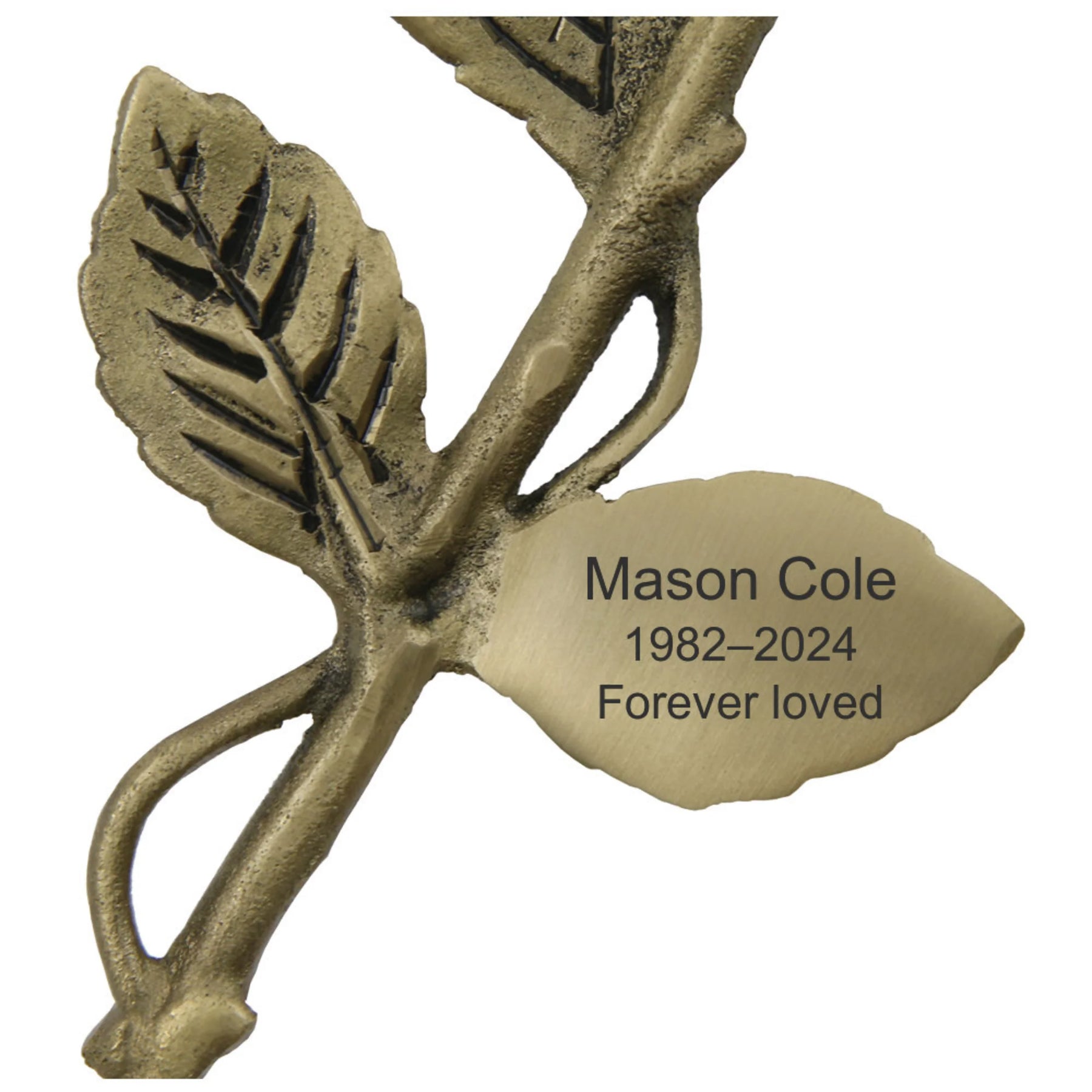 Crimson Rose Keepsake w/ Velvet Box