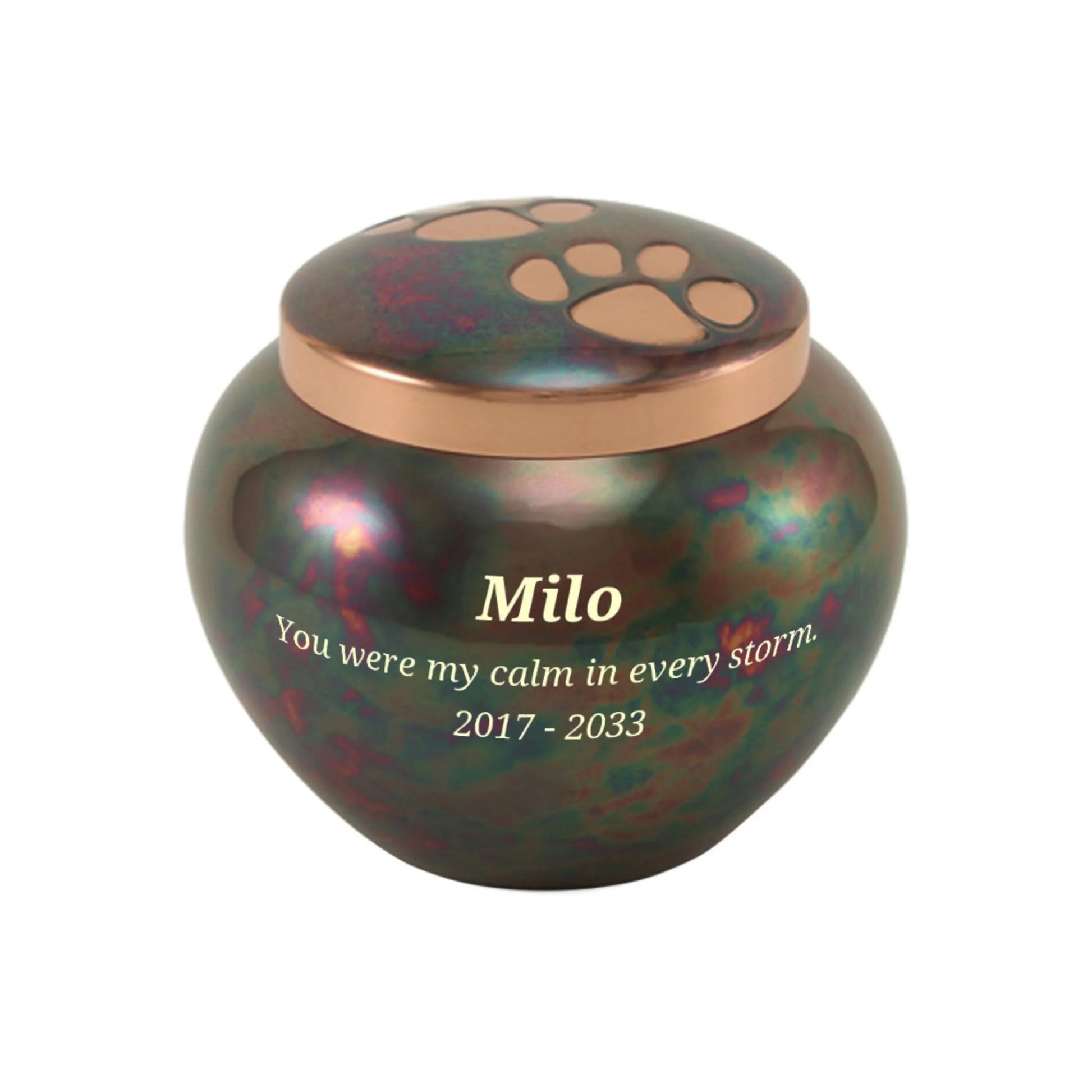 Odyssey Raku Extra Small