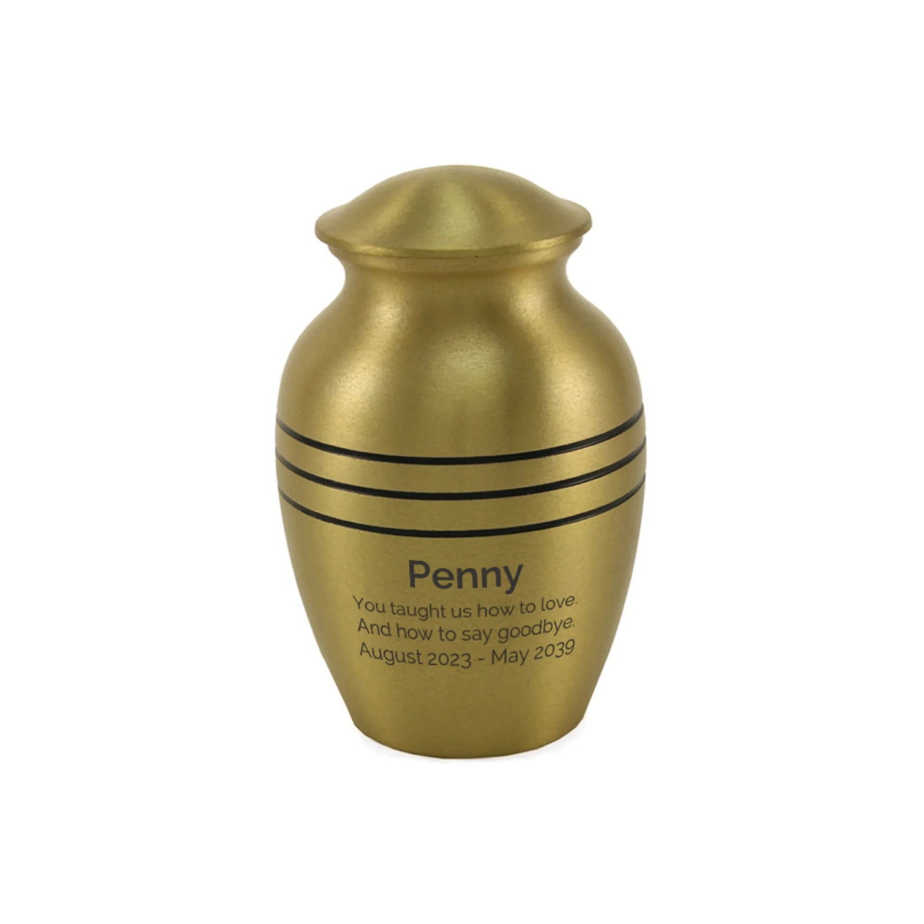 Classic Bronze Extra Small