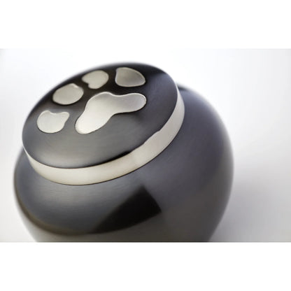 Odyssey Slate Extra Small