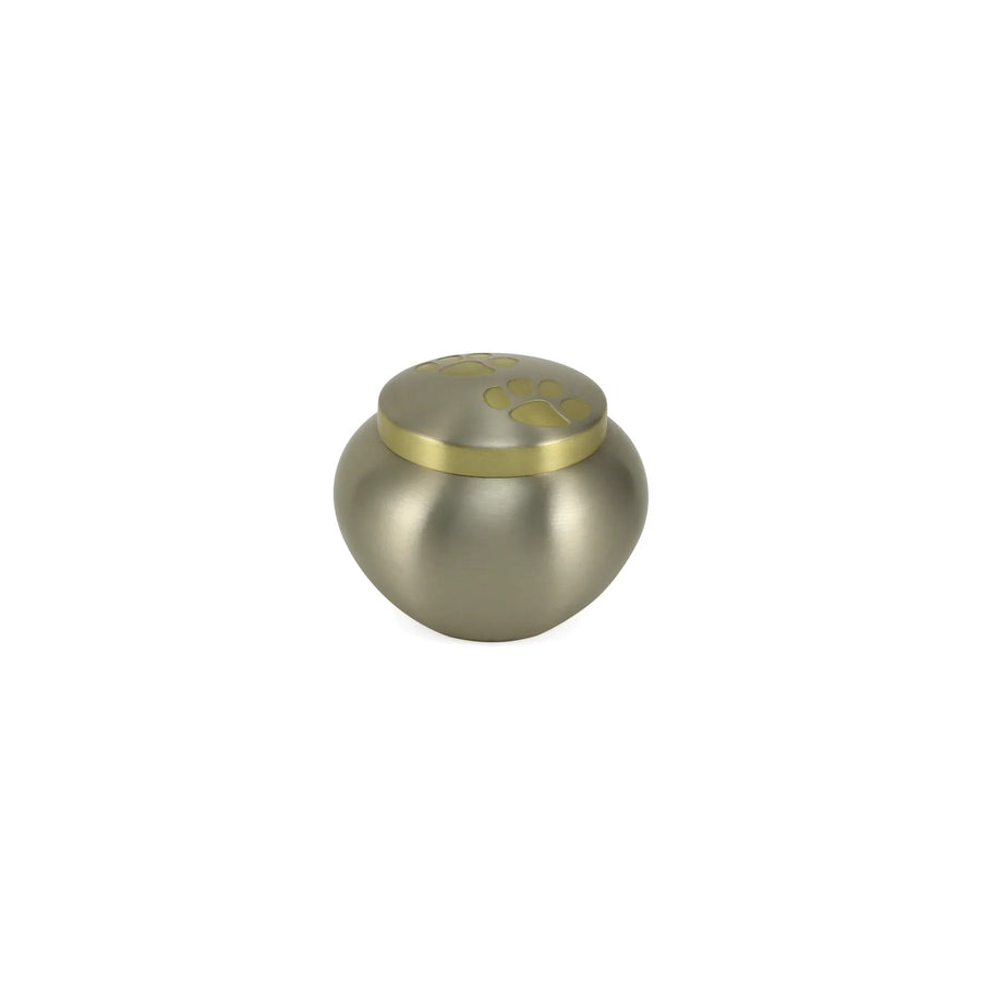 Odyssey Pewter Petite