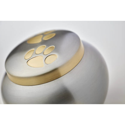 Odyssey Pewter Extra Small