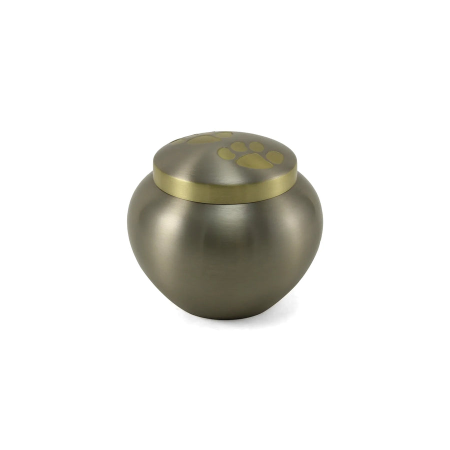 Odyssey Pewter Extra Small