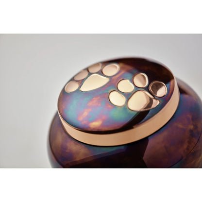 Odyssey Raku Extra Small