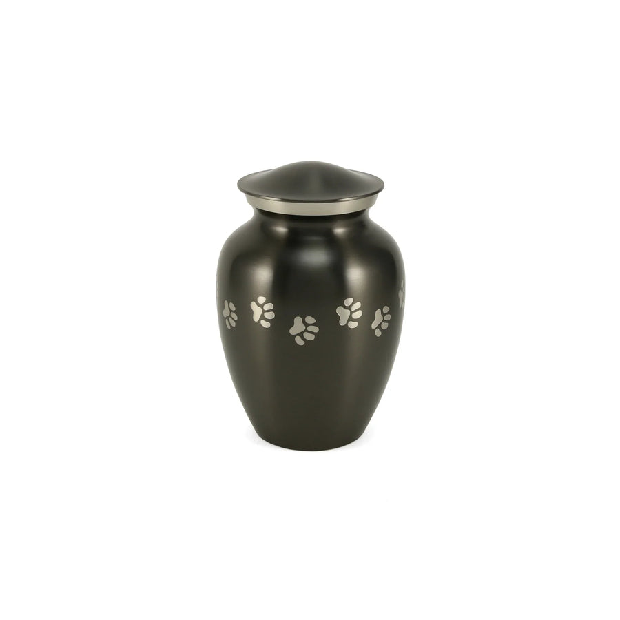 Classic Paws Slate Small