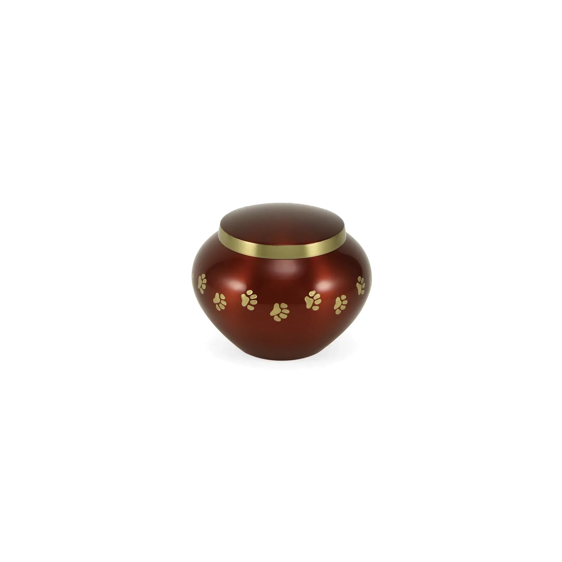 Odyssey Crimson Petite