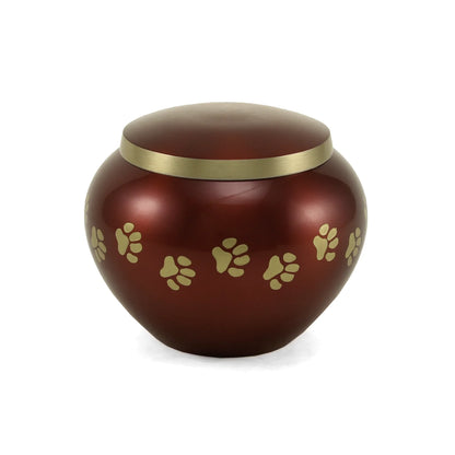 Odyssey Crimson Extra Small