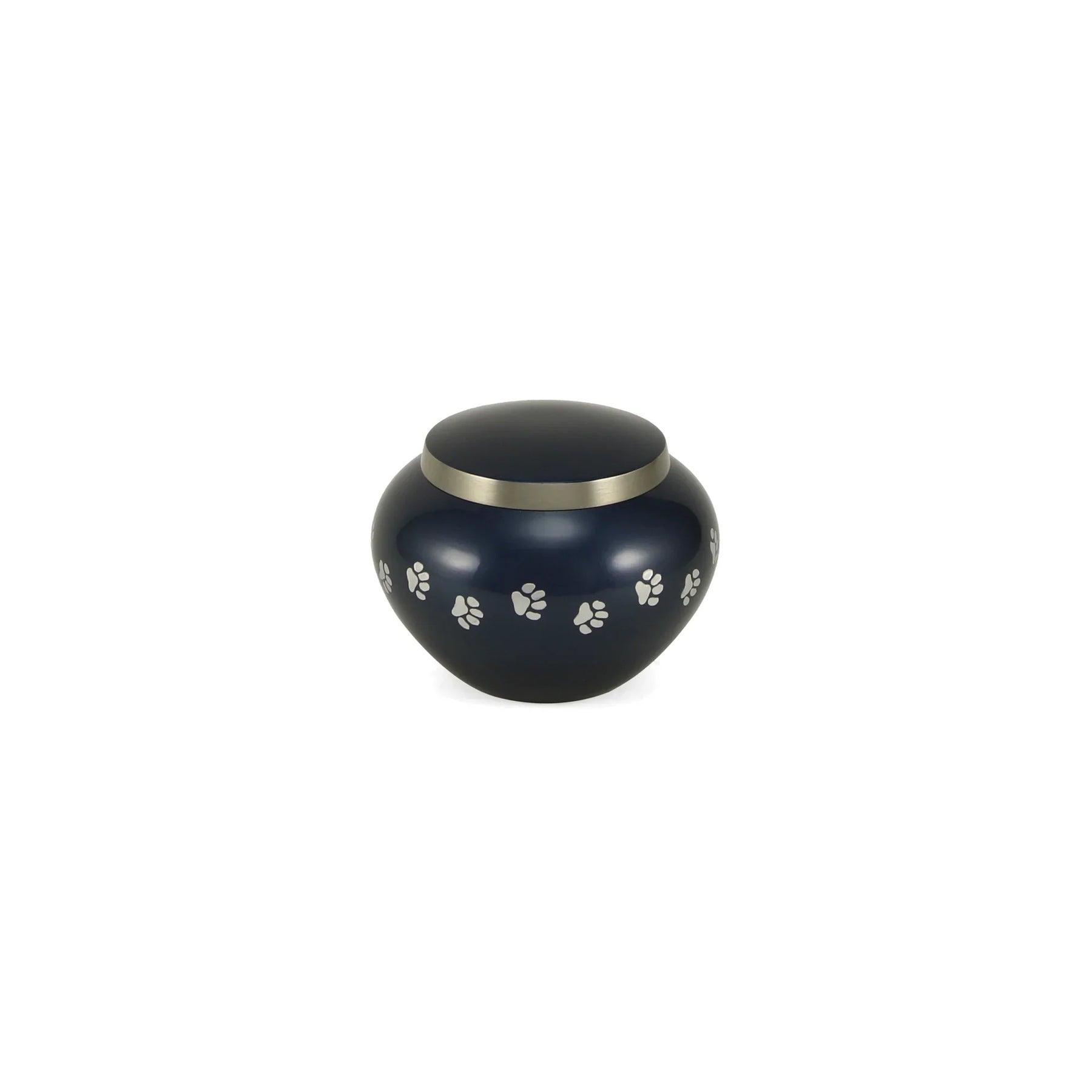 Odyssey Moonlight Blue Petite