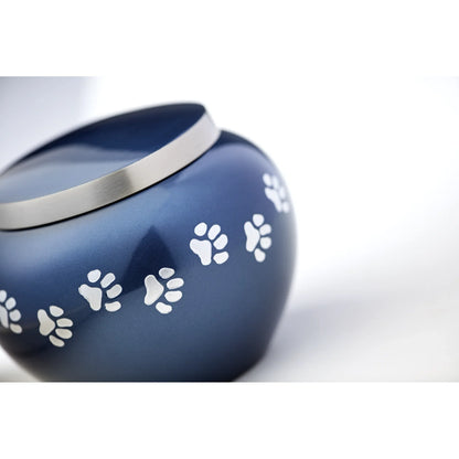 Odyssey Moonlight Blue Extra Small