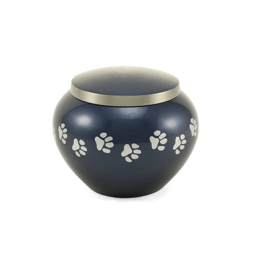 Odyssey Moonlight Blue Extra Small