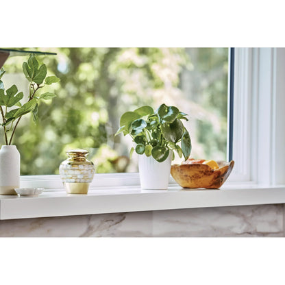 Elite Mother of Pearl Extra Small