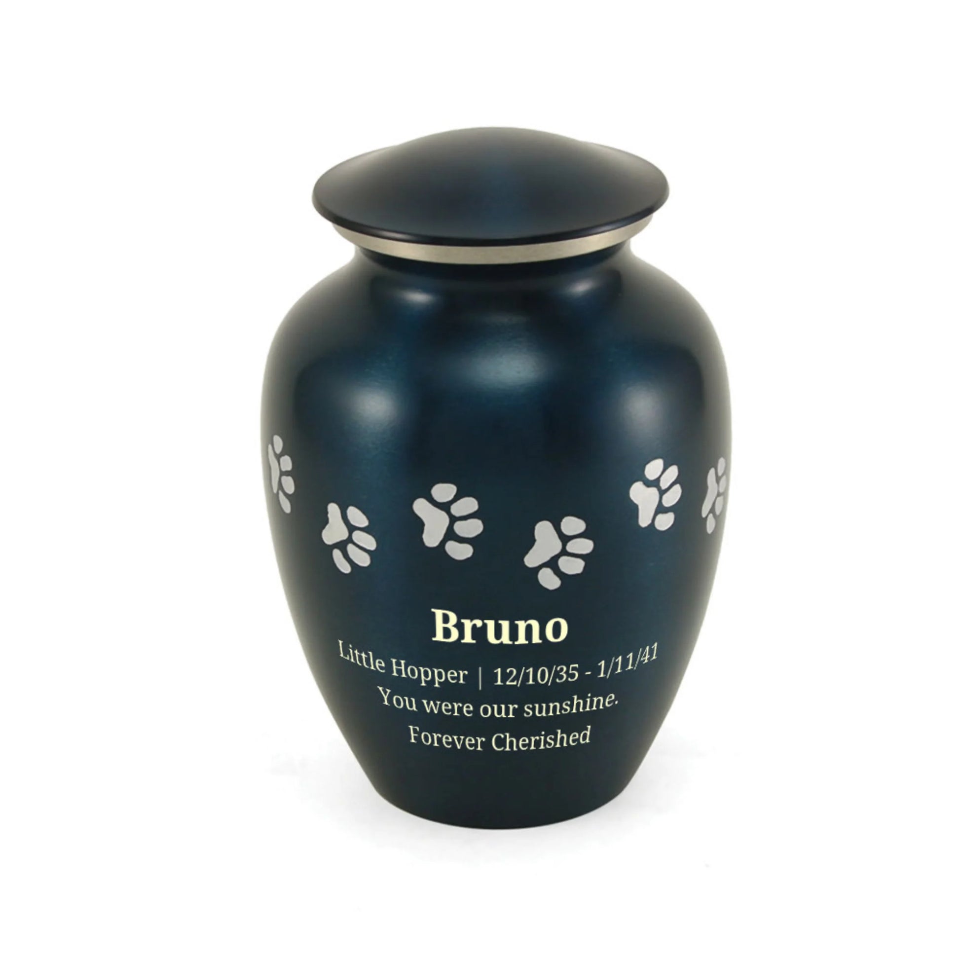 Classic Paws Blue Small