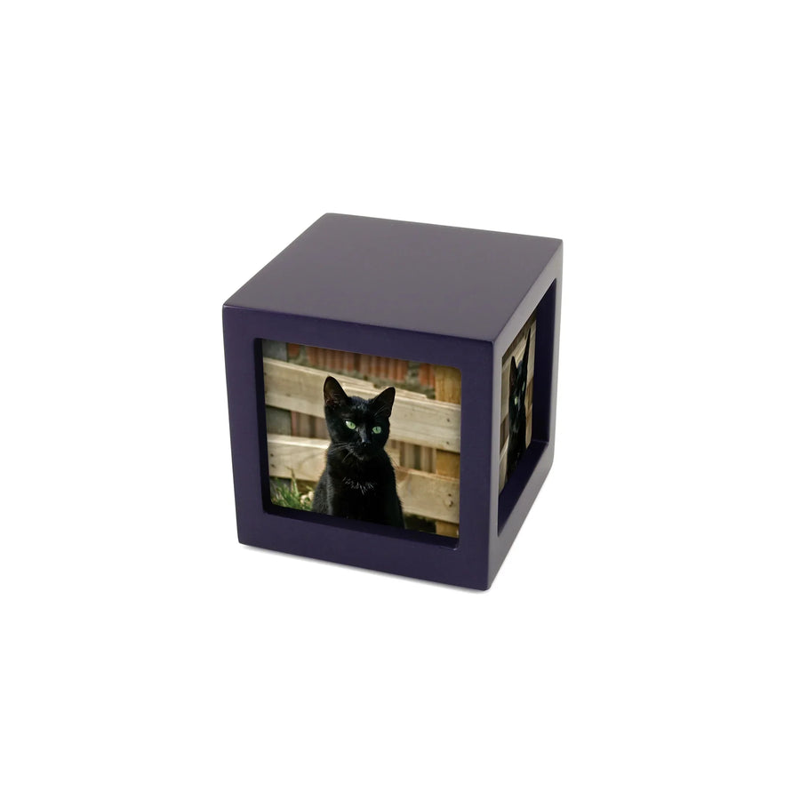 Photo Cube Violet Petite