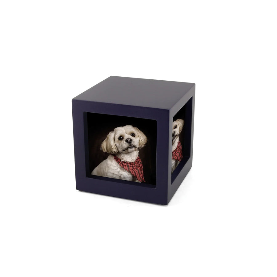 Photo Cube Violet Extra Small