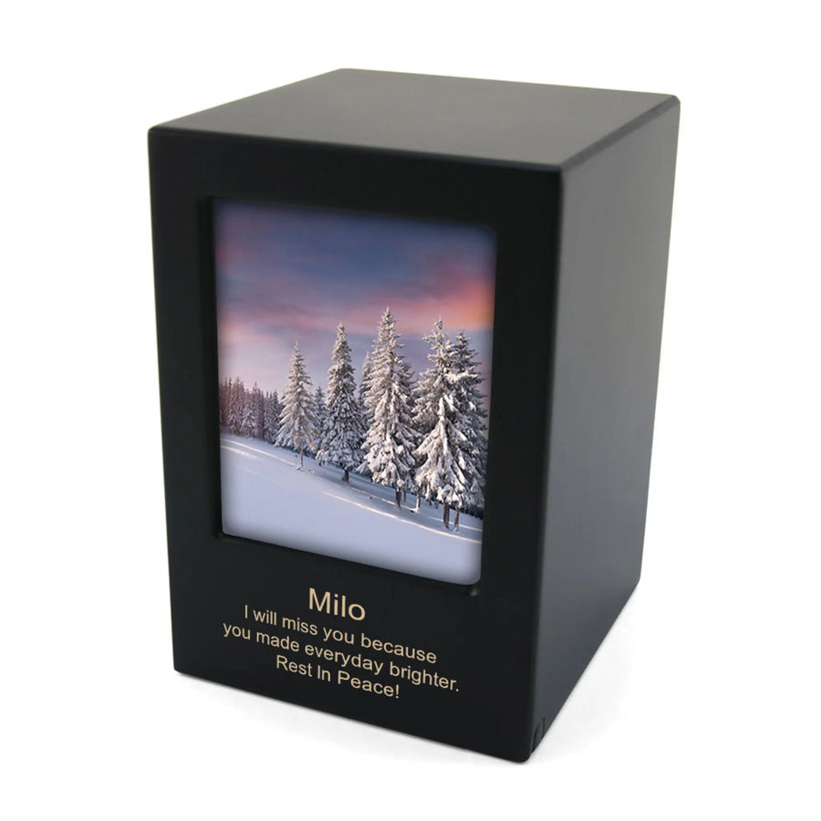 Photo Urn Black Large/Adult