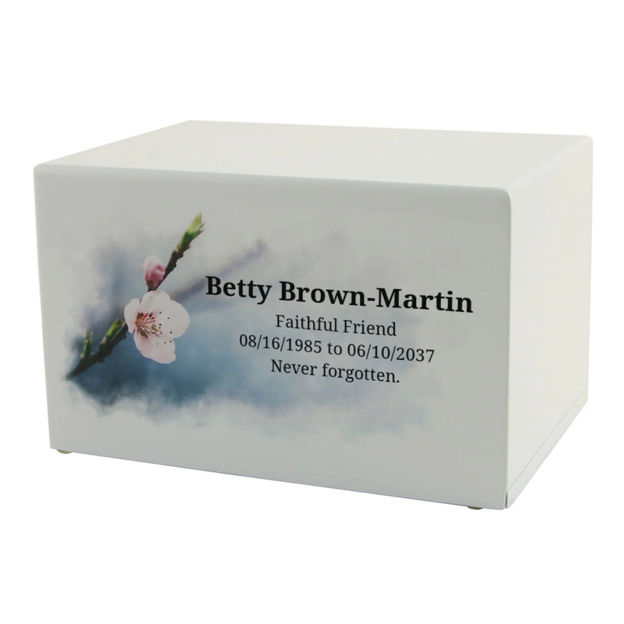 Somerset Cherry Blossoms