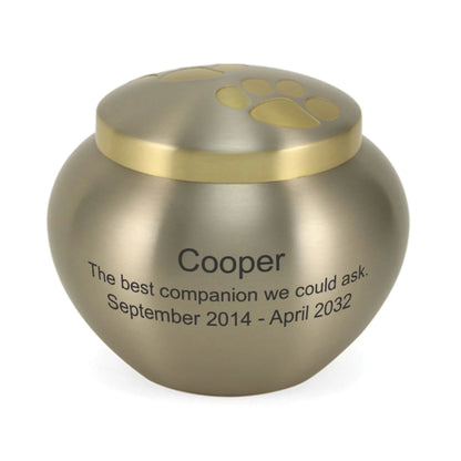 Odyssey Pewter Small