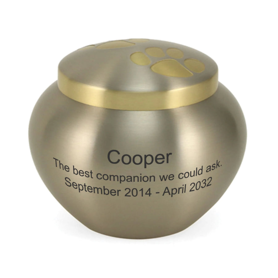 Odyssey Pewter Small