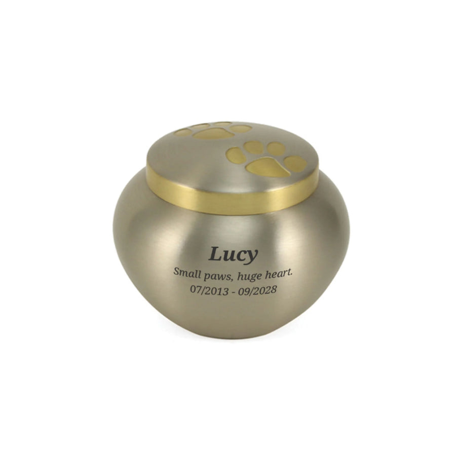 Odyssey Pewter Petite