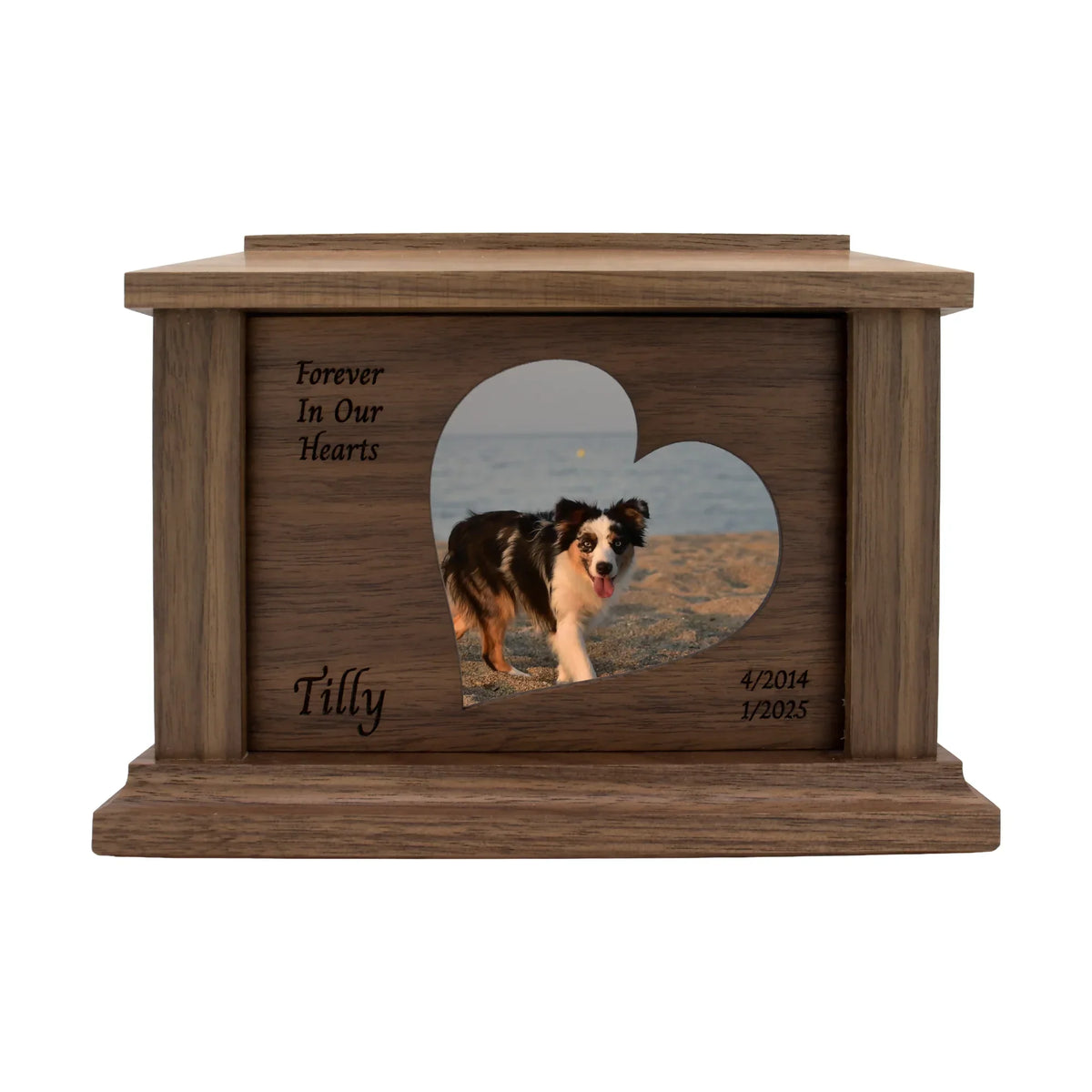 Walnut Pet Urn | FIOH Corner